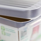 Caixa para Sapato Plástico Transparente 10x19x31cm