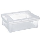 Caixa Organizadora Plástico 13,5L Incolor com Tampa 14,40x30,50x42,50cm Radical Color Ordene