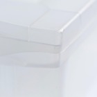 Caixa Organizadora Plástico 13,5L Incolor com Tampa 14,40x30,50x42,50cm Radical Color Ordene