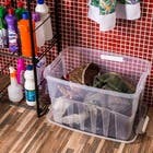 Caixa Organizadora Plástico 56L Incolor com Tampa 36,50x40,30x55,50cm Organização Plasútil