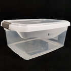 Caixa Plástica Organizadora Com Tampa 6l Sanremo De Brinquedo