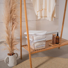 Caixa Organizadora de Plástico Transparente Retangular com Tampa 5,5L 17x16x24cm Oikos