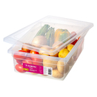 Caixa Organizadora Plástico Transparente Max 11L 12,8x29,3x41,1cm Sanremo