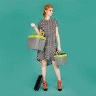 Caixa Térmica 18 Litros Cinza Com Verde Mor