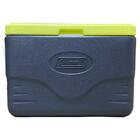 Caixa Térmica 26,5 Litros 28 Qt Summer Cinza - Coleman