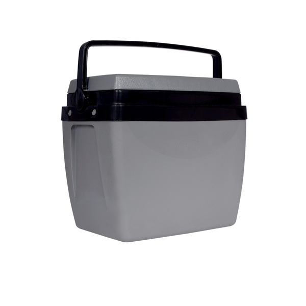 銀杯　48g Caixa Térmica 26 L Cinza Mor | Leroy Merlin