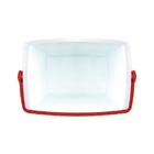 Caixa Térmica 26 Litros Com Alça Isolamento Em Isopor Mor