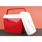 Caixa Térmica 26 Litros Com Alça Isolamento Em Isopor Mor