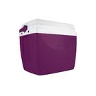 Caixa Termica 34l Berinjela - Roxo