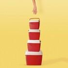 Caixa Termica 75l Vermelha - Vermelho