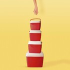 Caixa Termica 75l Vermelha - Vermelho