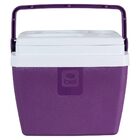 Caixa Térmica Cooler 12l Com Alça 13 Latas Açaí Bel