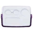 Caixa Térmica Cooler 12l Com Alça 13 Latas Açaí Bel