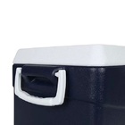 Caixa Térmica Cooler Glacial 48 Litros Resistente Com Alças L