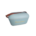 Caixa Térmica Cooler Retro Polarbox 20 Litros Azul Com Alça C