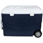 Caixa Térmica Glacial 70 Litros