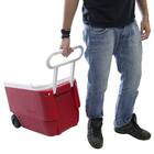 Caixa Térmica Igloo De 36 Litros Que Acompanha Jarra E Um Min