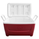 Caixa Térmica Igloo Island Breeze De 45 Litros Vermelho