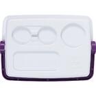 Caixa Térmica Para Água Bebidas Líquidos 12 Litros Açaí 71309