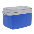 Caixa Térmica Tropical 12L Azul Soprano
