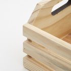 Caixote Pinus 22x18x11cm Zôdio