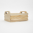 Caixote Pinus 27x24x13cm Zôdio