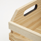 Caixote Pinus 27x24x13cm Zôdio