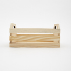 Caixote Pinus 27x24x13cm Zôdio