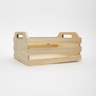 Caixote Pinus 32x25x17cm Zôdio