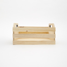 Caixote Pinus 32x25x17cm Zôdio