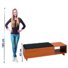 Calçadeira Com Baú Para Hall De Entrada Veludo Malaga Dobuê