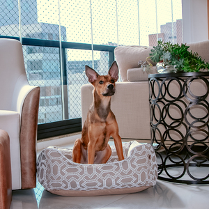 Foto de Cama para Cachorro Prada Caqui M Fábrica Pet