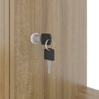 Cama Articulada De Casal Com 8 Prateleiras E 2 Nichos 209,9x1