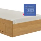 Cama Auxiliar 2 Gavetas Premium Cinamomo
