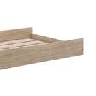 Cama Auxiliar David Carvalho