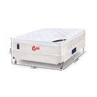 Cama Box + Colchão Casal Castor Gold Star Vitagel Euro One Fa