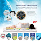 Cama Box + Colchão Queen Size Castor Gold Star Slx Vitagel Do