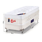 Cama Box + Colchão Solteiro Castor Gold Star Vitagel One Face