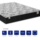 Cama Box Casal Queen Size C/ Colchão Smart Classic D26 De Mol