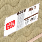 Cama Box King Breath Of Light - Pelmex - Palha / Mel / Marfim