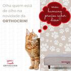 Cama Box Pet De Espuma Para Cachorros E Gatos Orthocrin 60x80