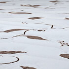 Cama Box Queen Martin Taylor Inmetro 00199532768 - Pelmex - B