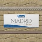 Cama Box Solteiro King Marrom + Colchão De Molas Ensacadas- M