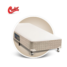 Cama Box Solteiro Simples Castor Premium Tecnopedic 088x188x0