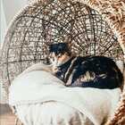 Cama Cadeira Sofa Dog,pet Gato Sisal Decor