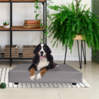 Cama Caminha Da Bobpet Cães Cachorro Gato Colchão Pet 70x100