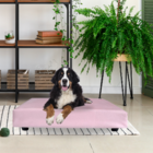 Cama Caminha Da Bobpet Cães Cachorro Gato Colchão Pet 70x100