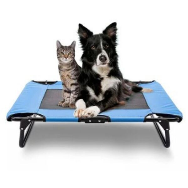 Cama De Cachorro Médio Suspensa Ortopédica Tamanho M Paws