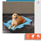 Cama De Cachorro Médio Suspensa Ortopédica Tamanho M Paws