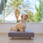 Cama Espreguiçadeira Couch - Tam. Grande (80x80)cm